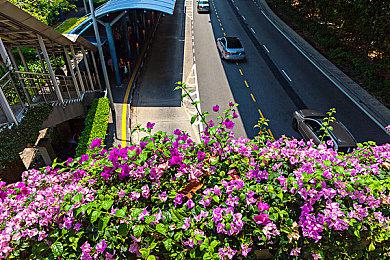 《恐怖世界》将于2023年夏季正式发售 登陆PC、PS和Switch